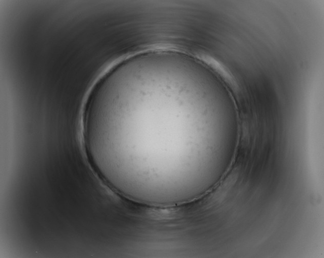 X0000093171286200710101205