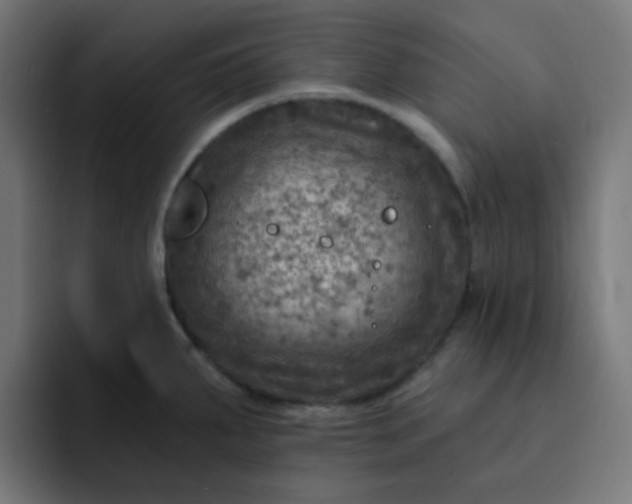 X0000093171287200710101205