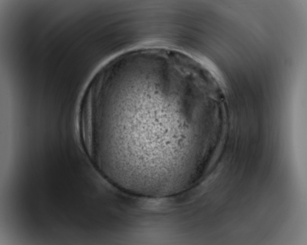 X0000093171288200710101205