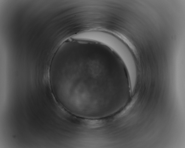 X0000093171289200710101205