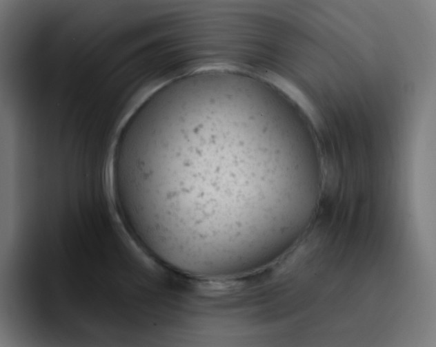 X0000093171290200710101205