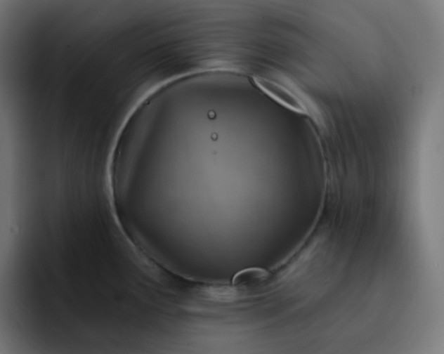 X0000093171291200710101205