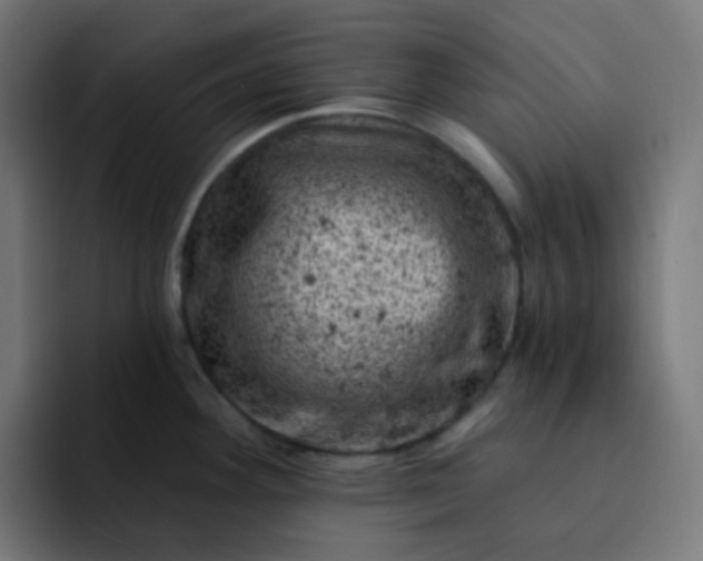 X0000093171292200710101205