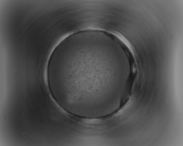 X0000093171293200710101205