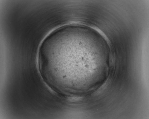 X0000093171294200710101205