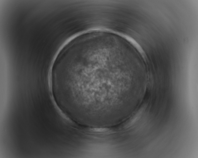 X0000093171295200710101205