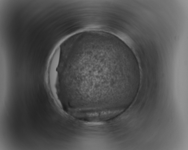 X0000093171296200710101205