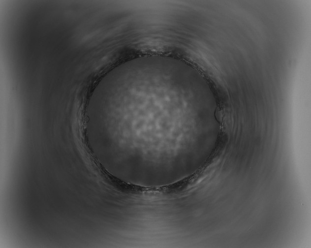 X0000093171297200710101205