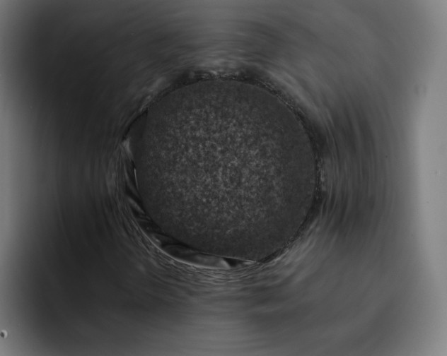 X0000093171298200710101205