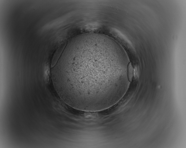 X0000093171299200710101205