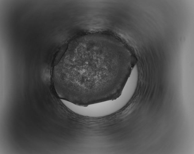 X0000093171300200710101205