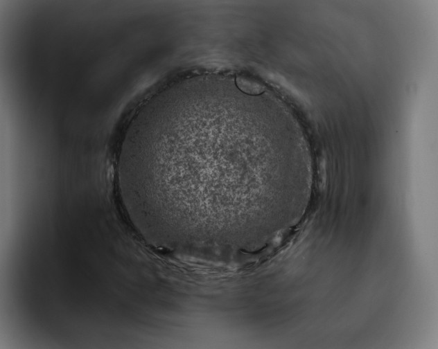 X0000093171302200710101205