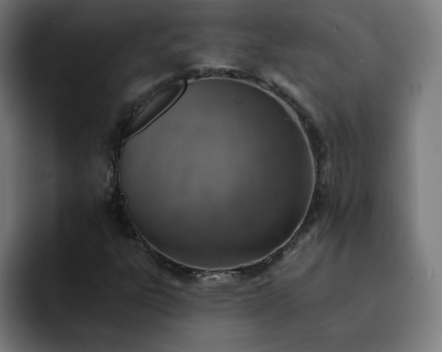 X0000093171303200710101205