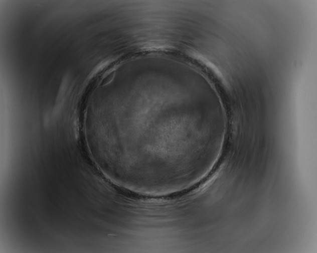 X0000093171306200710101205