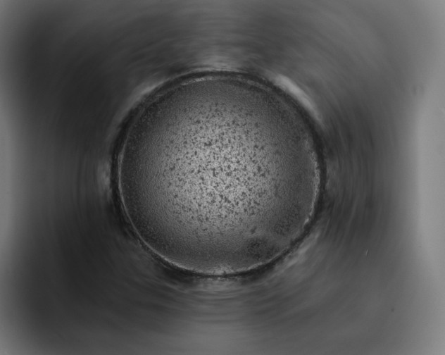 X0000093171307200710101205