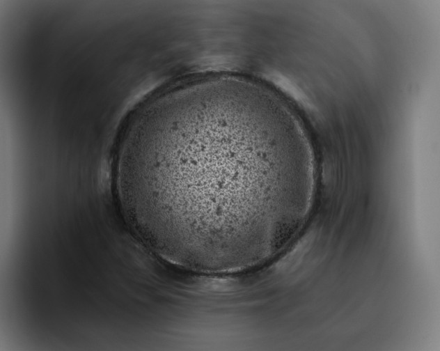 X0000093171309200710101205