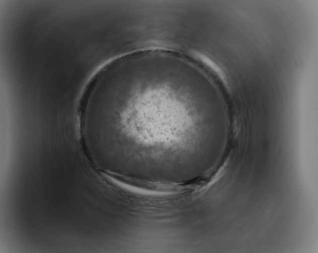 X0000093171310200710101205