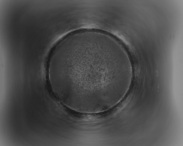 X0000093171311200710101205