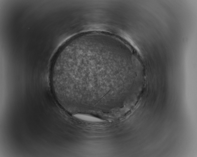 X0000093171312200710101205