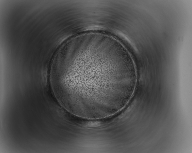 X0000093171313200710101205