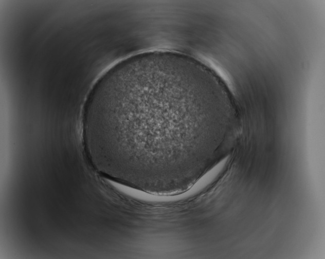 X0000093171316200710101205