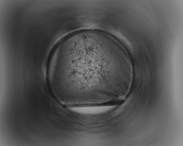 X0000093171318200710101205