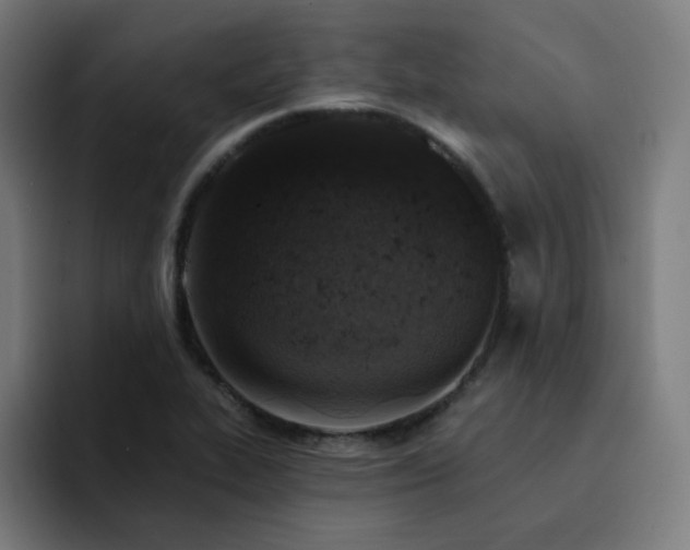 X0000093171319200710101205