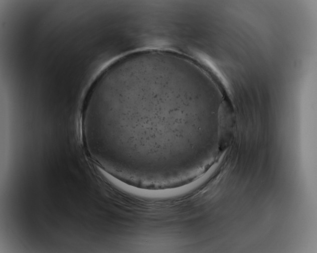 X0000093171320200710101205