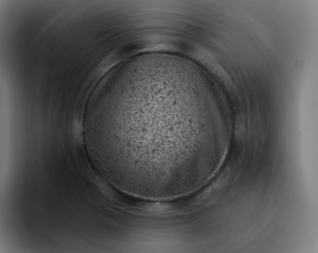 X0000093171321200710101205