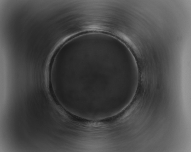 X0000093171323200710101205