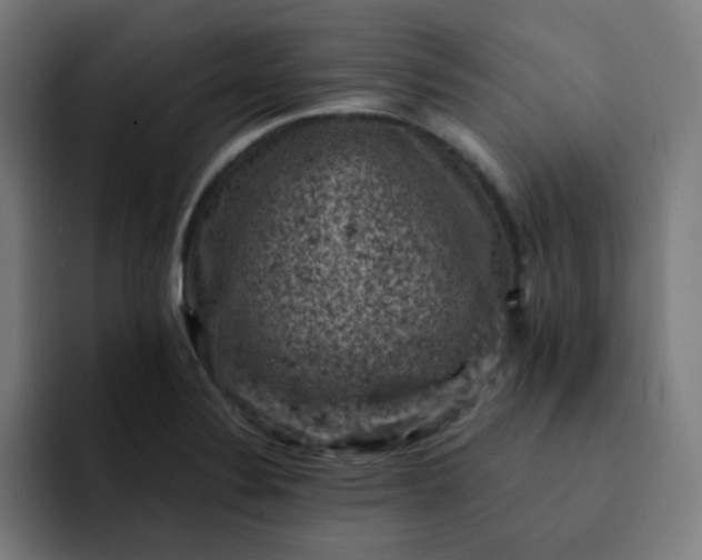 X0000093171324200710101205