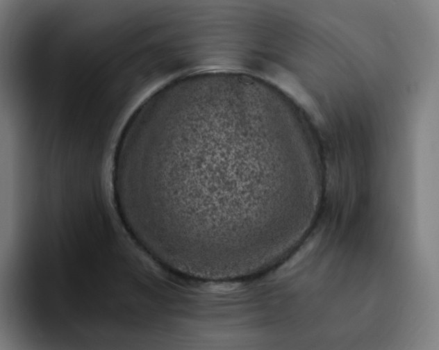X0000093171325200710101205