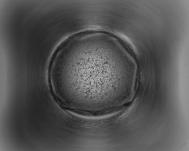 X0000093171326200710101205