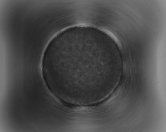 X0000093171327200710101205