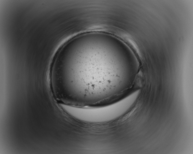 X0000093171328200710101205