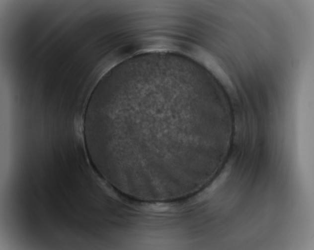 X0000093171329200710101205