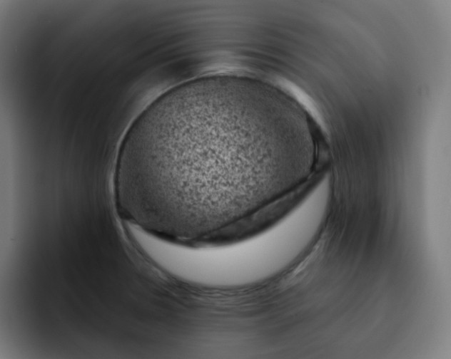 X0000093171330200710101205