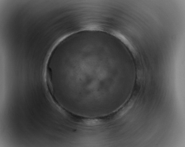 X0000093171331200710101205