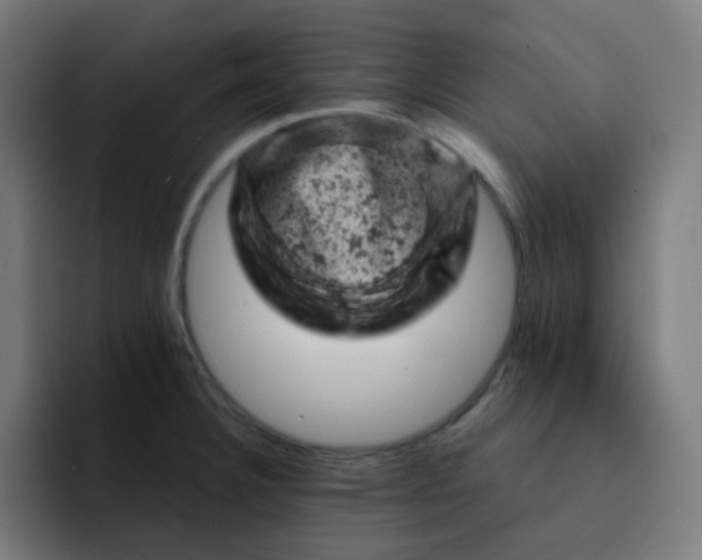 X0000093171332200710101205