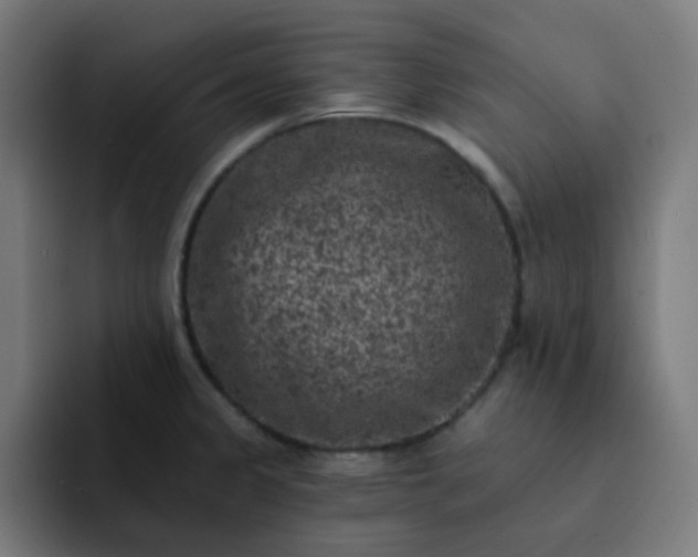 X0000093171333200710101205