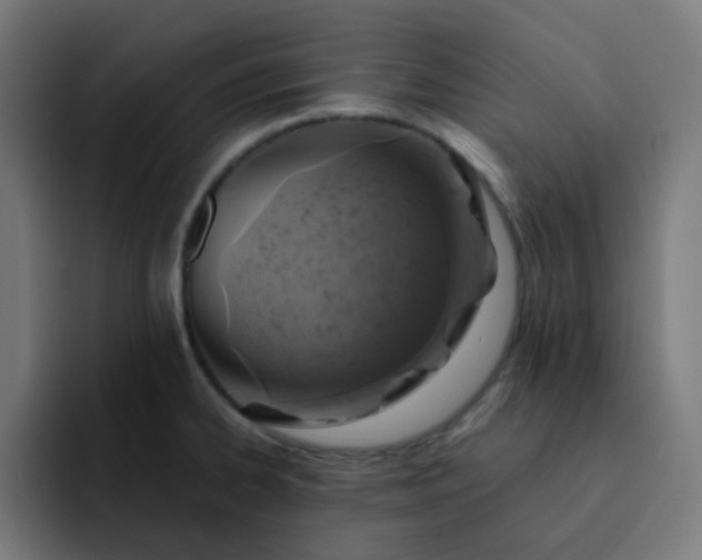 X0000093171334200710101205