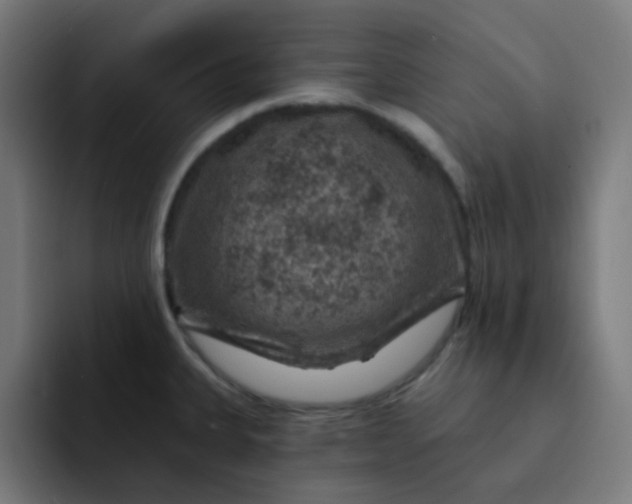 X0000093171335200710101205