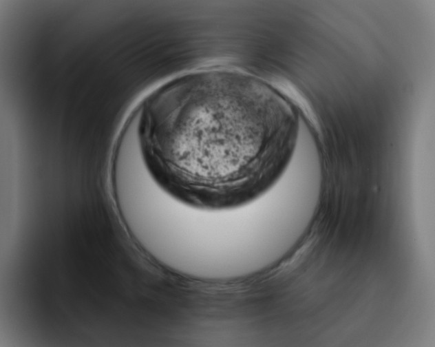 X0000093171336200710101205