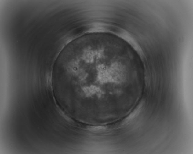 X0000093171337200710101205