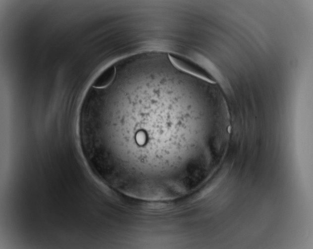 X0000093171339200710101205
