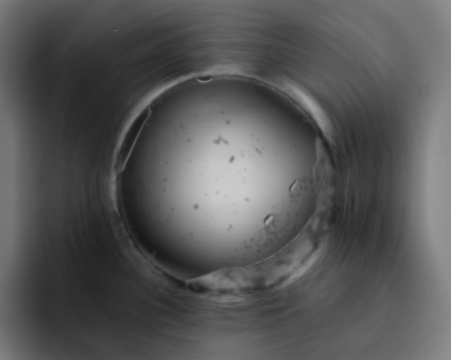 X0000093171340200710101205