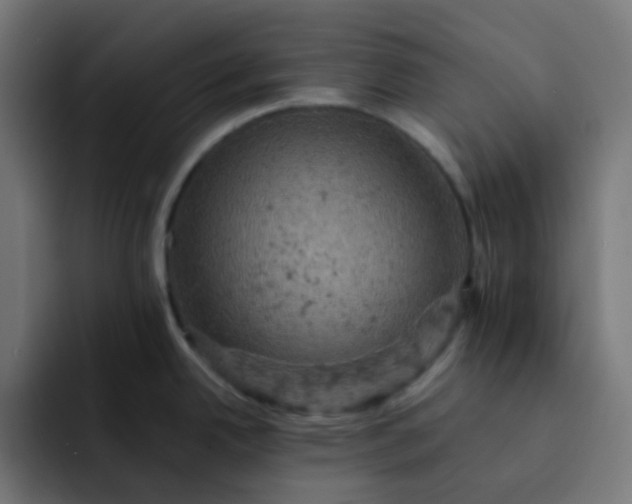 X0000093171342200710101205