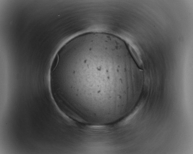 X0000093171343200710101205