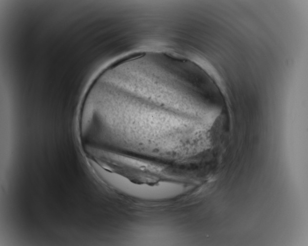 X0000093171344200710101205