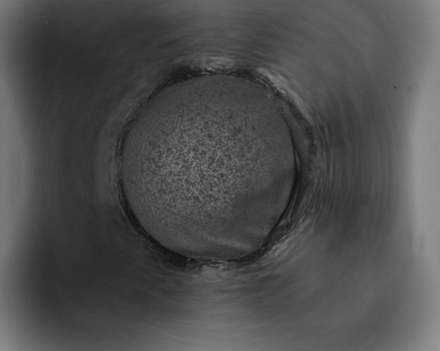X0000093171345200710101205